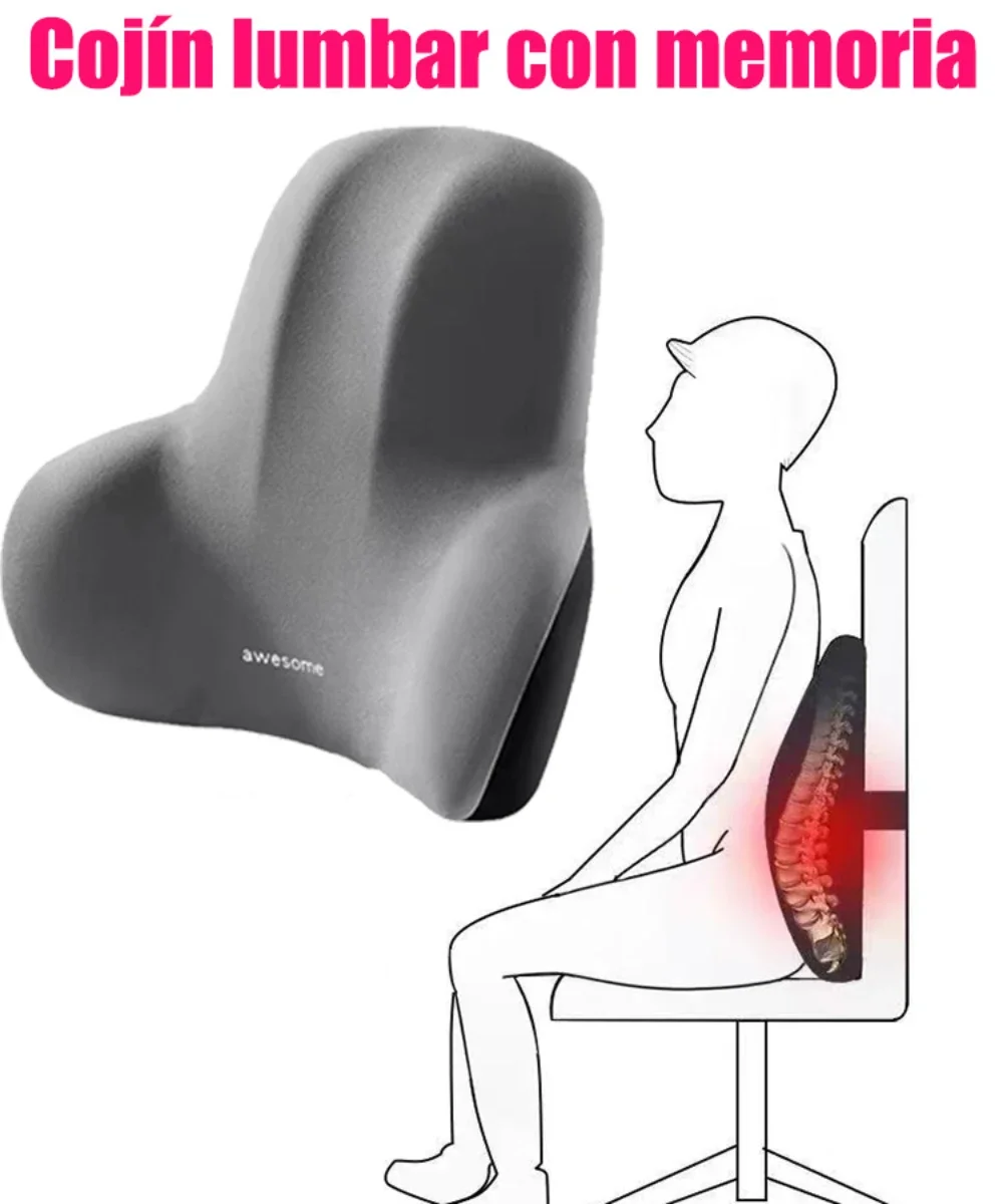 Memory Foam Lumbar Back Cushio - Gaming Chair Lumbar Pillow review and price